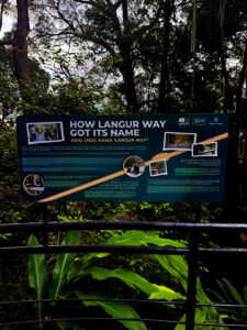 living like im dying penang hill habitat languar