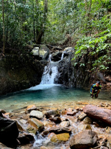 living like im dying pond seven wells