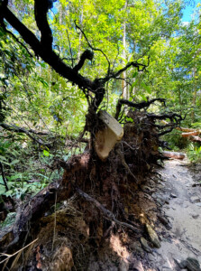 living like im dying rock roots seven wells waterfall