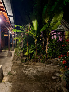 living like im dying rooms coconut langkawi