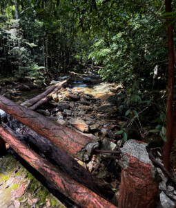 living like im dying seven wells walk