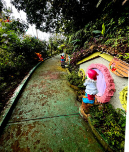 living like im dying sleepy penang hill