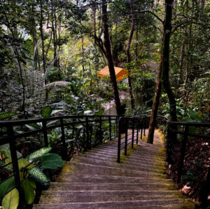 living like im dying stairs penang hills