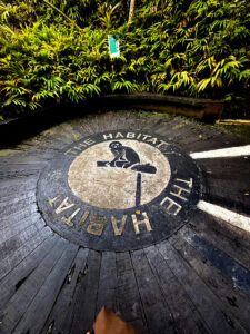 living like im dying the habitat penang hill malaysia