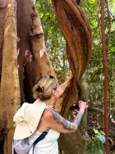 living like im dying tree me seven wells waterfall