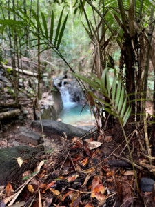 living like im dying view blue seven waterfalls