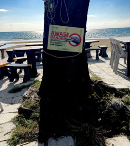 living like im dying croc warning sabah