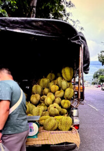 living like im dying durian