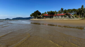 living like im dying tangjung aru borneo