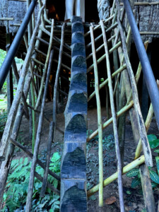 living like im dying stairs tribal huts mari mari