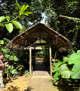 living like im dying traditional gateway mari mari