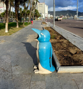 Christmas in the Upside Down 9 living like im dying beach trash can quy nhon