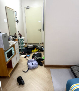 living like im dying closet visa