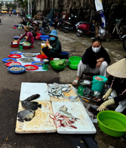 Christmas in the Upside Down 19 living like im dying fish for sale quy nhon