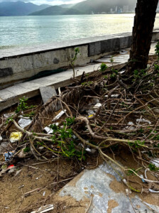 Christmas in the Upside Down 1 living like im dying sidewalk typhoon quy nhon