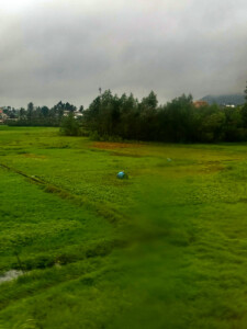 living like im dying train art10