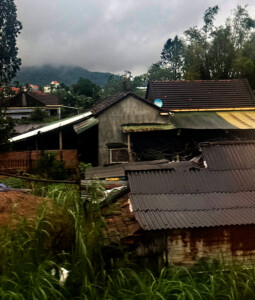 living like im dying train art14