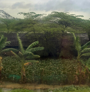 living like im dying train art15