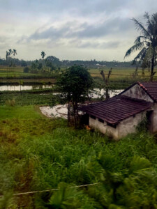 living like im dying train art19