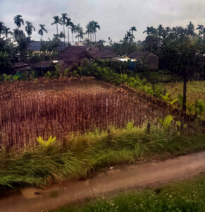 living like im dying train art24