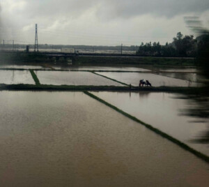 living like im dying train art25