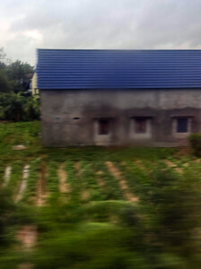 living like im dying train art26