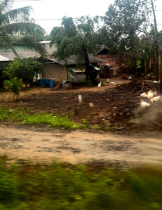 living like im dying train art9