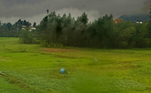 living like im dying train vietnam3