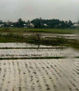 living like im dying train vietnam5