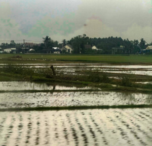 living like im dying view from vietnam train1