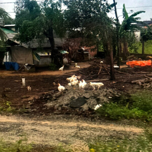 living like im dying view trin vietnam2