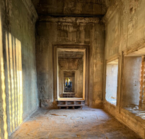 Angkor Wat, Landmines, and the Hero Rats of Cambodia 14 living like im dying angkor wat five siem reap