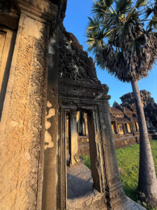 Angkor Wat, Landmines, and the Hero Rats of Cambodia 12 living like im dying angkor wat one siem reap