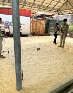 Angkor Wat, Landmines, and the Hero Rats of Cambodia 3 living like im dying hero rat apopo cambodia