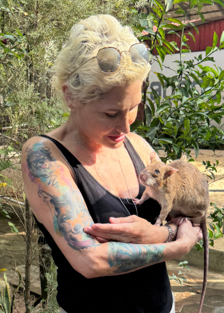 Angkor Wat, Hero Rat