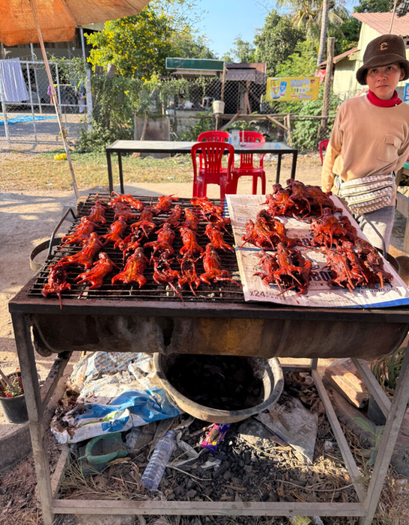 Battambang, Bamboo Train, BBQ Rats, and the Killing Cave 6 living like im dying rats battambang cambodia