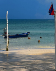 living like im dying dogs saracen bay koh rong sanloem cambodia