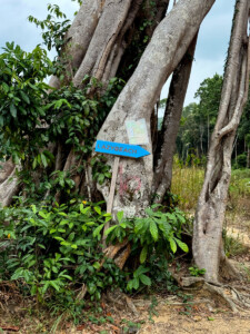 living like im dying lazy beach rode koh rong sanloem cambodia