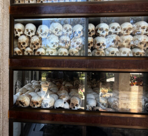 living like im dying more skulls killing fields