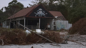 living like im dying octopus saceren bay cambodia