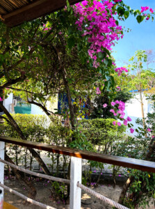 living like im dying patio view sara resort koh rong saneloem cambodia