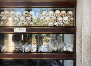 living like im dying skulls killing fields