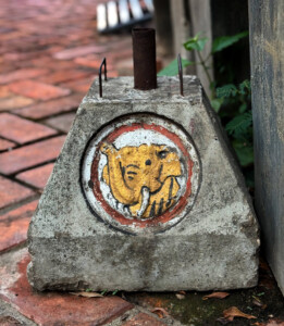 living like im dying elephant umbrella vientiane laos