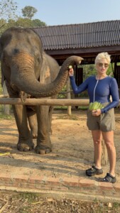Elephant Ethics, Extinction and the Land of a Million Elephants 7 IMG 4332