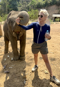 Elephant Ethics, Extinction and the Land of a Million Elephants 21 baby elephant luang prabng laos