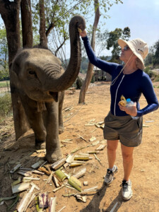 Elephant Ethics, Extinction and the Land of a Million Elephants 1 baby elephant village luang prabang laos