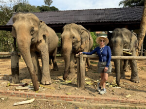 Elephant Ethics, Extinction and the Land of a Million Elephants 10 buddies elephant village luang prabang laos