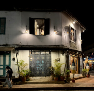 Elephant Ethics, Extinction and the Land of a Million Elephants 6 corner store luang prabang laos