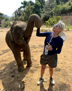 Elephant Ethics, Extinction and the Land of a Million Elephants 2 elephant baby elephant village luang prabang laos