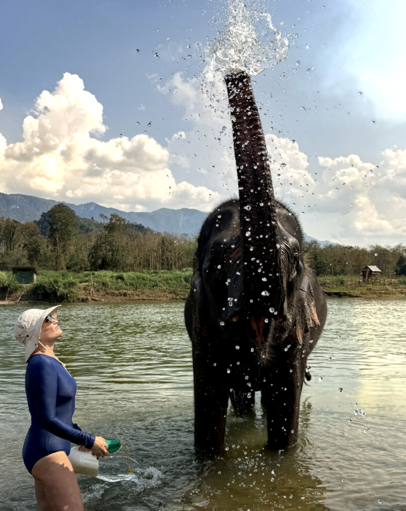 Elephant bath at Elephant Village